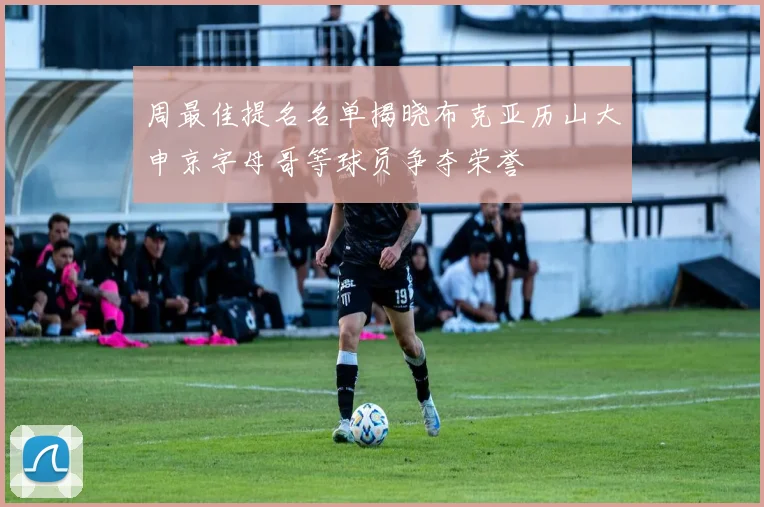 周最佳提名名单揭晓布克亚历山大申京字母哥等球员争夺荣誉