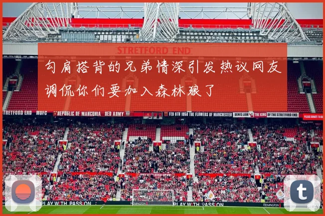 勾肩搭背的兄弟情深引发热议网友调侃你们要加入森林狼了
