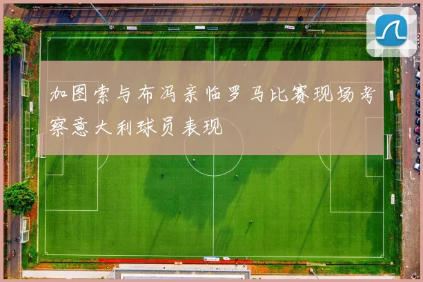 加图索与布冯亲临罗马比赛现场考察意大利球员表现
